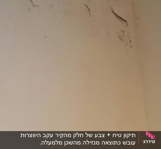 הקיר לפני התיקון